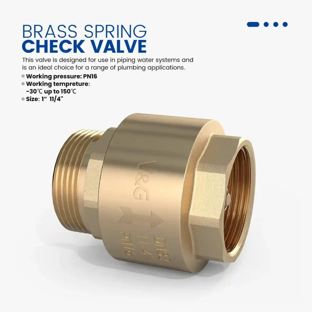 Brass Spring Check Valve with Brass Core Female/Male Thread