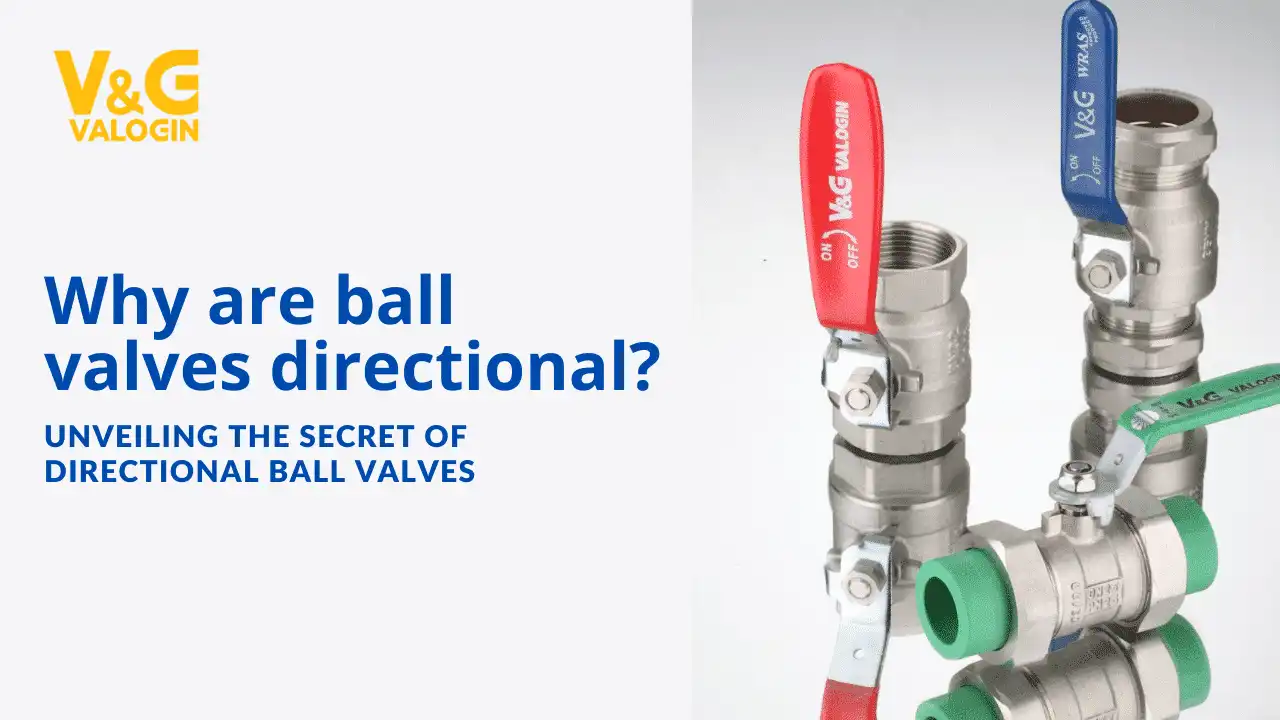 Why are Ball Valves directional text and some ball valves are shown also in this picture.