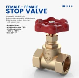 Homewerks 170-2-2-2 No-Lead Gate Valve, 2-inch, Brass (Female-Female Stop Valve)