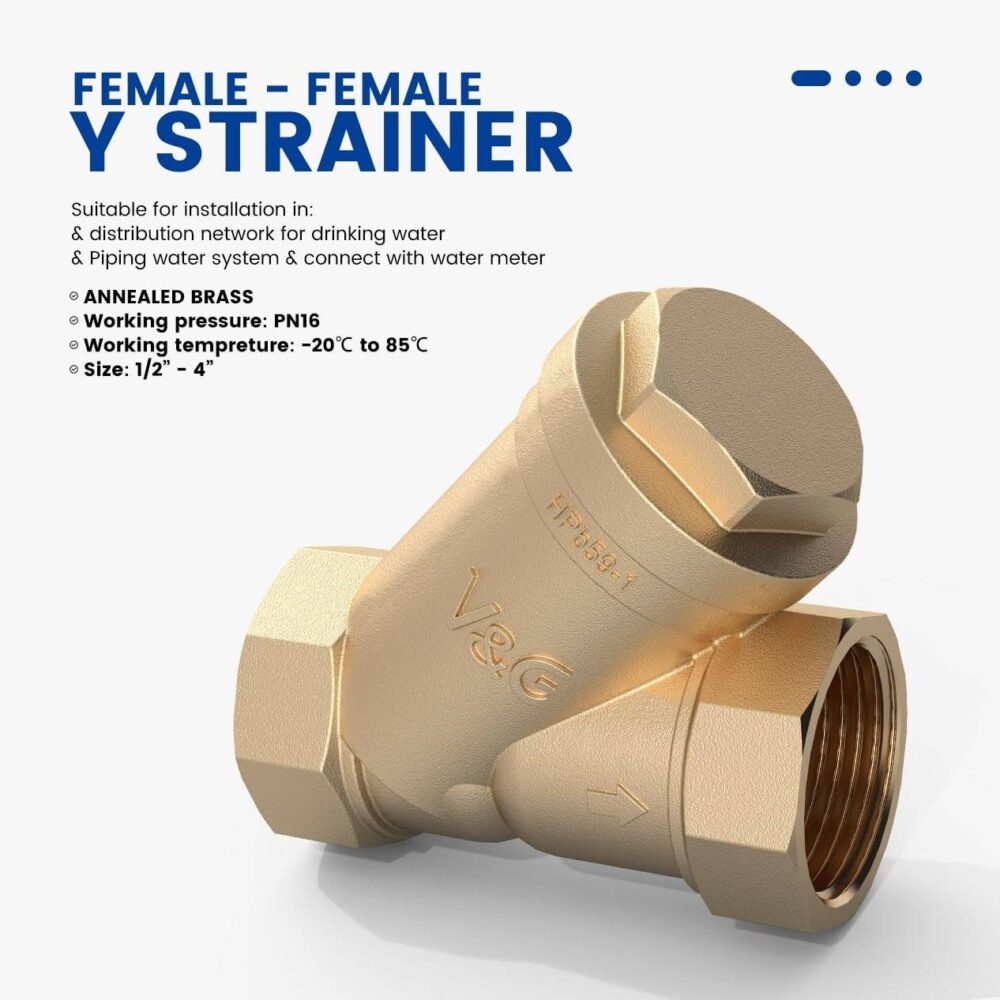 Female-Female Y Strainer